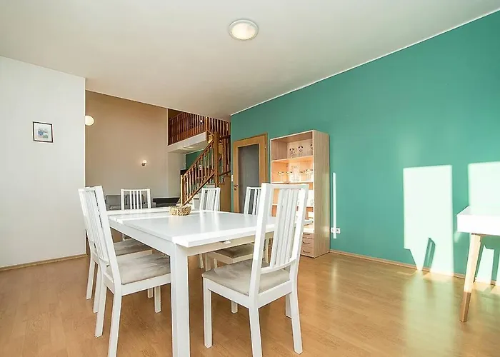 Great Terrace In Big, Flat Appartement
